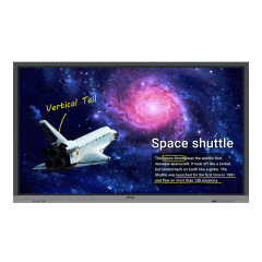 Интерактивная панель LCD 65'' IN INTERACTIVE FLAT PANEL RE6501 BLACK