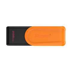 USB-накопитель Kingston DTXS/256GB 256GB