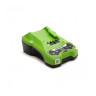 Быстрое зарядное устройство Greenworks 2946407 G24C4 24V 4А