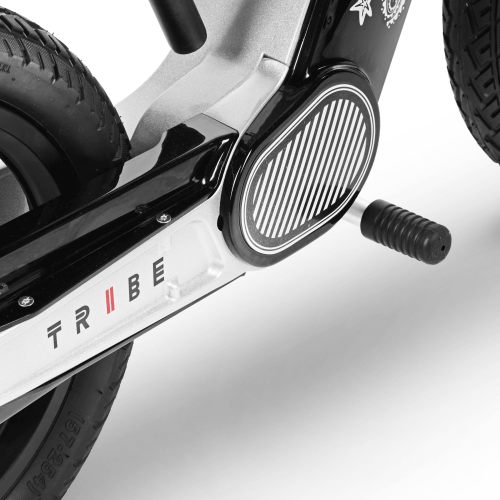 Электросамокат TRIBE Kid Run, черный, 14" колеса, 150 Вт мотор, 5 Ач батарея, TES-KIDRUNBLACK