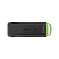 USB-накопитель Kingston DTXG2/256GB 256GB Чёрный/Зелёный