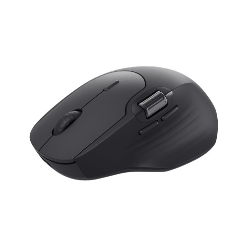 Компьютерная мышь Rapoo MT560 Black