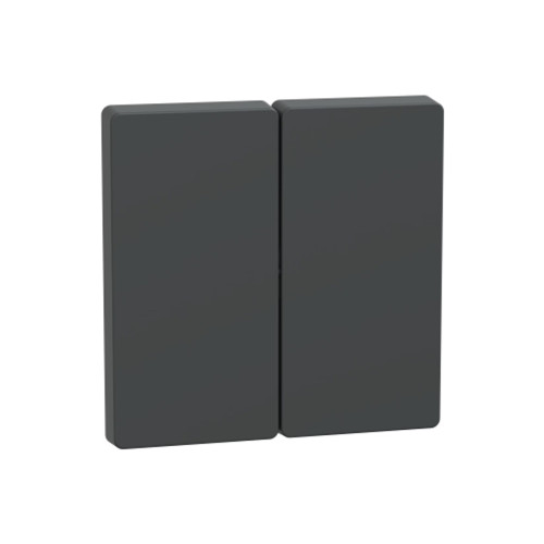 Клавиша MERTEN MTN3400-6034 D-Life 2-ная антрацит