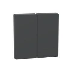 Клавиша MERTEN MTN3400-6034 D-Life 2-ная антрацит